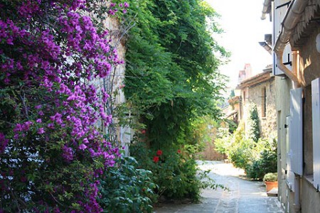 Ruelle fleurie
