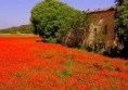 /album/galerie-photos/provence2-jpg/
